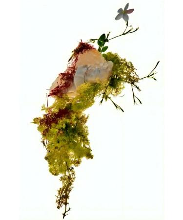 Zara Red Temptation Elixir Parfum for Women Eau de Parfum Spray Elegant and Long-Lasting Scent 80ml (2.7 fl. oz) - Buy Online on GoSupps.com