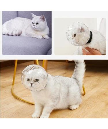 Shop Halskrause Transparent Puppy & Cat Neck Collar - Protective Dog Funnel & Convenient Scratch Prevention | Adjustable & Leak-Proof (M) - Buy Online on GoSupps.com