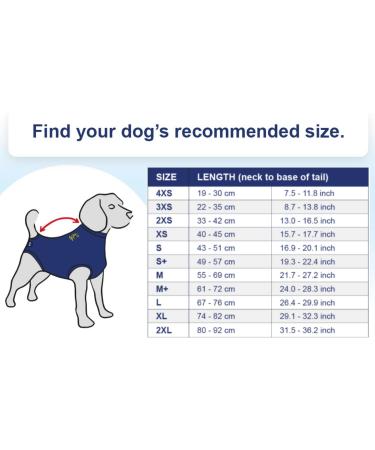 MPS Medical Pet Shirt Dog Surgery Recovery Suit Zebra-Print Small - Buy Online on GoSupps.com