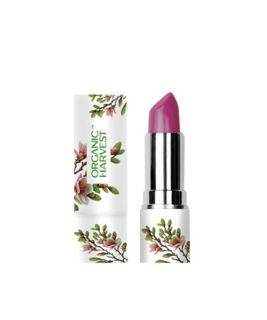 Moisture Matte Lipstick - Red Wine | Long-lasting Wine Red Creamy Matte Lipstick | Hydrating Formula | Certified Organic Makeup | Cruelty-free & Vegan 4gm