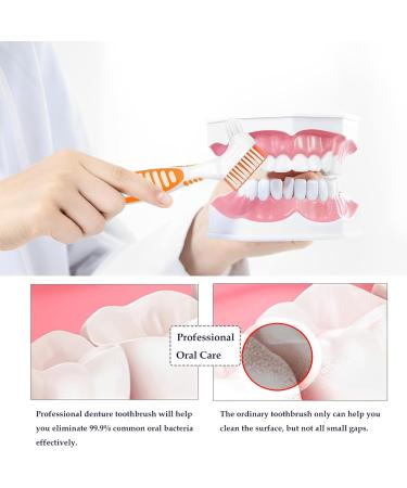 Denture Cleaning Brush Set - 4 Pack Double Bristle Head Retainer & False Teeth Toothbrushes (Blue Purple Green Orange) - Buy Online on GoSupps.com