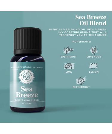 Woolzies Unwind Essential Oil Blend Set - 100% Pure & Natural Therapeutic Grade - Refresh Sea Breeze & Sunshine Blends - 3 Pack of 1 Fl Oz Bottles - Buy Online on GoSupps.com