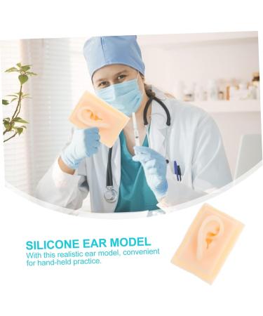 Silicone Tool 1 Pair Ear Model Science Teaching Tools Teaching Aid Ear Model Human Body Model Massage Tool Pro Tools Ear Models Ear Presentation Model Ear Model Body - Buy Online on GoSupps.com