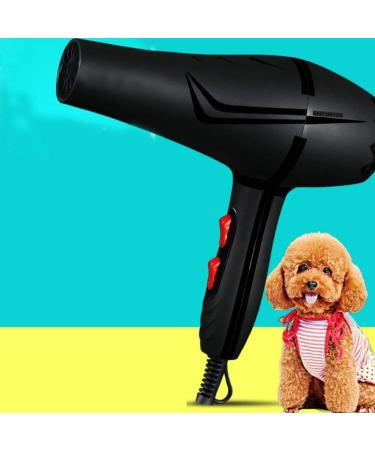 Professional Tourmaline Hair Dryer Salon Negative Ionic Hair Blow Dryer Dc Motor Light Weight Low Noise Hair Dryers - Buy Online on GoSupps.com