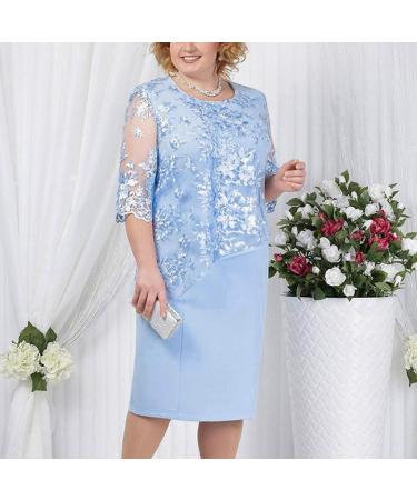 Women's Plus Size Floral Lace Sheath Dress - XXL Blue-1 | Knee Length Work Casual Party Cocktail Dress - Buy Online on GoSupps.com