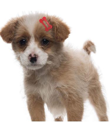 STOBOK 20pcs Mini Pet Hair Clip Bone-Shaped Snap Bows for Dogs and Cats - Grooming Topknot Bows for Parties and Birthdays - Random Color - Buy Online on GoSupps.com