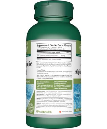 Alpha Lipoic Acid (ALA) 300mg 3 X 90 Capsules | Powerful Antioxidant Supplement | Highly Stable DL-ALA Powder Pills | 3 Bottles 270 count (Pack of 1) - Buy Online on GoSupps.com