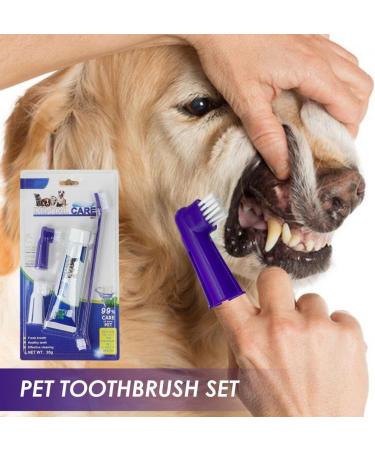 Toothbrush and Toothpaste Cat Fingerbrush Toothpaste Set Pet Store Hospital Shelter Teeth Care Kit for Fresh Breath for Puppies - Buy Online on GoSupps.com