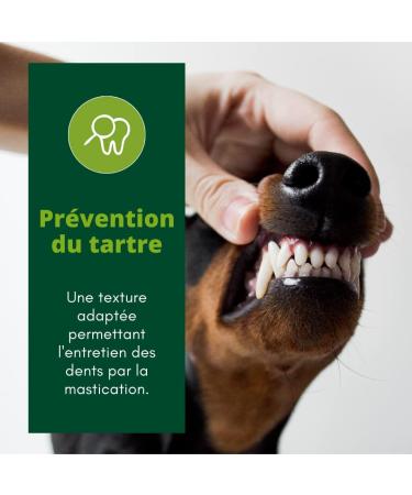 EQUILIBRE & INSTINCT - Puppy - Poultry Croquettes - Supports Growth - Complete Recipe Formulated with Veterinarians - 5kg - Made in France - Buy Online on GoSupps.com
