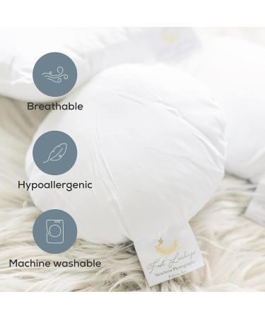First Landings Newborn Posing Pillows - Photography Props for Baby Boy or Girl Photoshoots - Donut Pillow and 3 Posing Pillows Photography Pillow Set - Buy Online on GoSupps.com