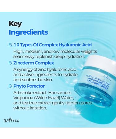 IsNtree ISTREE Zinc Aqua Cream 30ml 1.01 fl oz | Korean Skincare | Ultra-Low Molecular Hyaluronic Acid | Pore Refining & Oil Control | Cooling & Hydrating Gel Cream - Buy Online on GoSupps.com