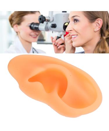 Simulated Left Ear Mould - Lifelike Fake Ear Model for Hospital Education - Buy Online on GoSupps.com