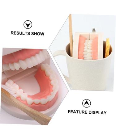 Buy Beavorty Learning Toothbrush Toys for Early Teething | Pedagogical Tooth Cleaning Model for Preschool - Buy Online on GoSupps.com