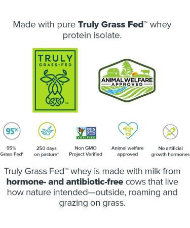 Legion Grass Fed Whey Protein Isolate Sugar Free - 30 Servings - Cookie & Cream - Buy Online on GoSupps.com