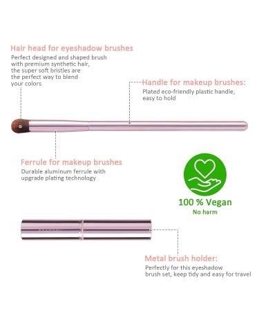 5Pcs Pink Eye Makeup Brushes Set with Case - Eyeshadow, Eyeliner, Concealer, Blending, Eyebrow Brushes - Travel Friendly - Buy Online on GoSupps.com