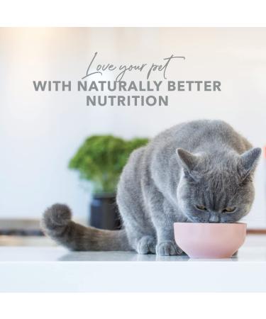 Feline Natural Lactose Free Cat Milk 10.1 fl oz 12 Pack - Best Dairy-Free Drink for Cats - Buy Online on GoSupps.com