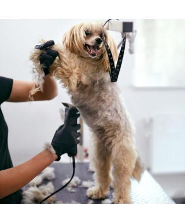Cosyonall Dog Grooming Replacement Blade Compatible with Andis Clippers Carbon Steel Removable Ceramic Sharp Edge Also Compatible with Wahl/Oster Dog Clippers 3PCS/4FC+5FC+7FC - Buy Online on GoSupps.com