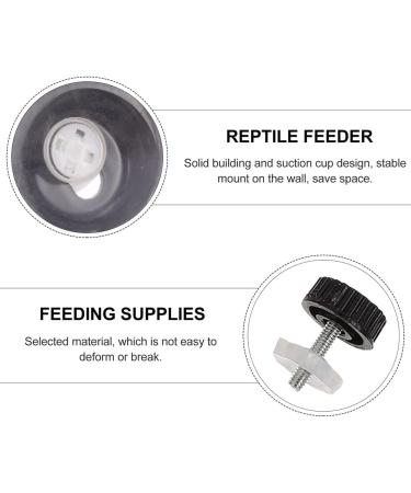 Balacoo Gecko Feeding Cups 1 Set Gecko Feeding Ledge Reptile Tank Supplies Suction Cup Reptile Feeder Reptile Feeding Platform for Reptile Lizard Gecko Home Crested Gecko Food Ledge - Buy Online on GoSupps.com