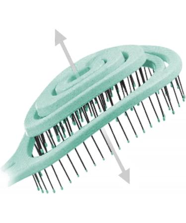 CHIARA AMBRA Bio Friendly Detangling Brush - Vegan Turquoise Vent Hairbrush for Thick & Curly Hair - Buy Online on GoSupps.com