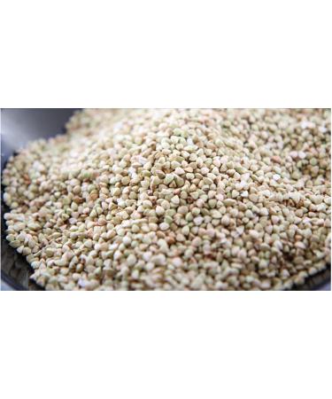 Sohwa Korean Buckwheat Pancake Flour 500g | Premium Memil Garu from Korea - Buy Online on GoSupps.com