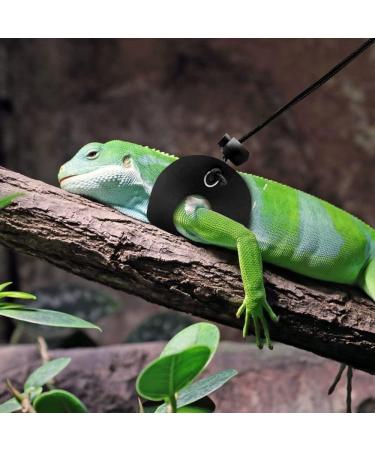 3PCS Adjustable Reptile Leather Harness Set with Cool Wings for Bearded Dragon & Small Pets - Buy Online on GoSupps.com