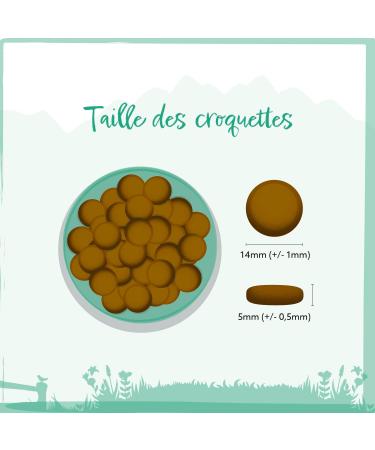 Wild Animal Premium Grain Free Tuna with Sweet Potato & Broccoli Dog Food 1 Pack (1 x 6 kg) - Buy Online on GoSupps.com