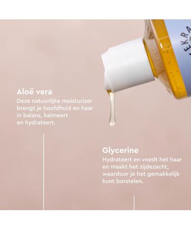 Midsona Denmark Urtekram Shampoo Geurvrij Find Balance Sensitive 500 ml vegan biologisch Unscented 500 ml 1er Pack - Buy Online on GoSupps.com