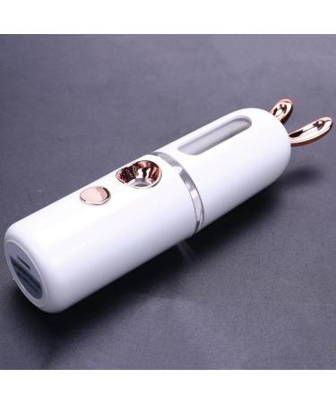NERTOEE New Mini USB Rechargeable Nano Hydrator Sprayer Women Beauty Instruments Home Use Humidifier Face Steamer Easy to Use White - Buy Online on GoSupps.com