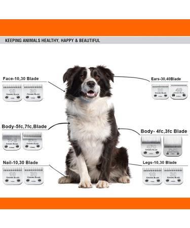 3Pack 10 Blade Dog Grooming Clipper Replacement Blades Compatible with Andis/Wahl/Oster Dog Clippers Detachable Ceramic Blade & Stainless Steel Blade 3 pieces #10 - Buy Online on GoSupps.com
