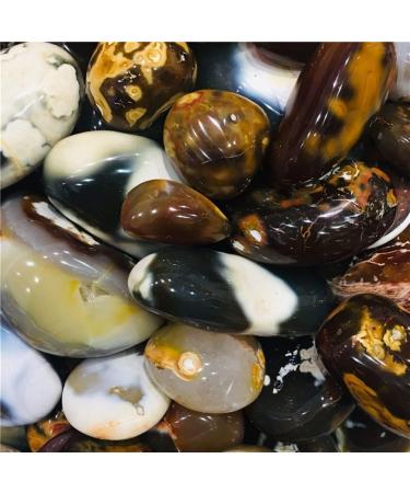 100-120g Natural Crystal Ocean Stone Rolling Palmetto Stone 1pcs Can be Used for Home Office Decoration JIZTGEDM - Buy Online on GoSupps.com