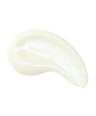 Aloette Stay Pure Acne Treatment Lotion - Blemish Treatment with Aloe Vera & Salicylic Acid Cruelty Free 0.5 Oz - International Shipping Available - Buy Online on GoSupps.com