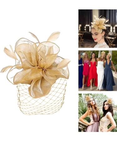 Elegant Gcroet Women's Mesh Flower Fascinator Hat for Weddings Tea Parties & Celebrations - Retro Hair Clip Accessories - Buy Online on GoSupps.com