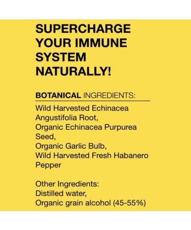Dr. Schulze's Echinacea - Immune-Boosting Herbal Supplement - Buy Online on GoSupps.com