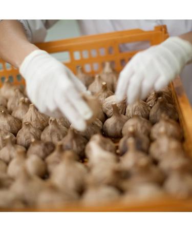 Momiki Black Garlic Katsuo Kombu Shiitake Sauce 180g - Authentic Japanese Flavor - Buy Online on GoSupps.com