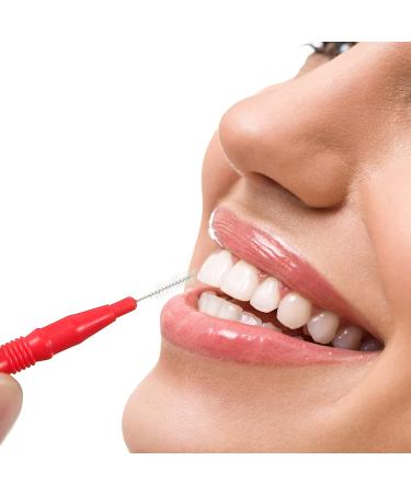 250 Pcs Interdental Floss Brushes | Soft Dental Picks for Teeth | Refill Dental Flosser & Toothpick Cleaners | Tooth Cleaning Tool - Buy Online on GoSupps.com