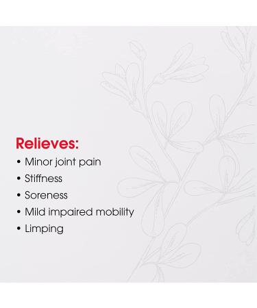 MediNatura T-Relief Pet Arthritis Relief - Arnica +12, 90 Tablets for Pain Relief - Buy Online on GoSupps.com