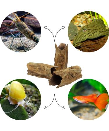 Spawning Cave for Fish & Crabs - Realistic Tree Trunk Aquarium Decoration | International Shipping - Buy Online on GoSupps.com