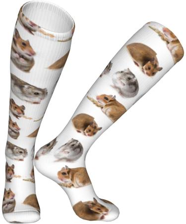 Shop Hamster Compression Socks for Men & Women | 15-20 mmHg Support for Running & Cycling - Buy Online on GoSupps.com