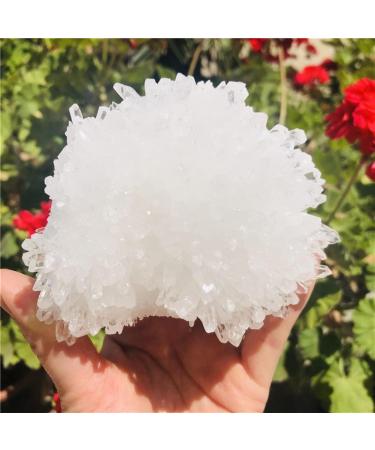 Natural Crystal Rough Crystal Natural Clear Quartz Crystal Cluster Minerals Great for Stone (Size : 300-400g) - Buy Online on GoSupps.com