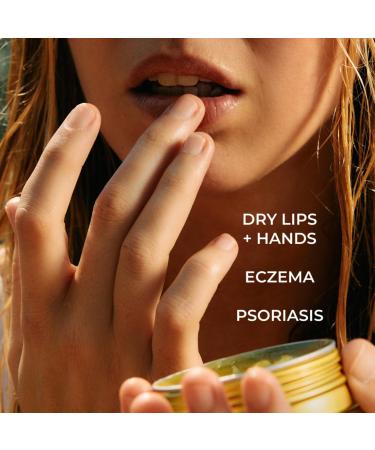 CLARY COLLECTION Multipurpose Olive Balm for Men Women & Children Certified Non-Toxic Natural & Organic Plant-Based Formula Hydrates and Softens Dry + Inflamed Skin. All Ages & Skin Types 2oz Olive 2oz 1 Ounce (Pack o  - Buy Online on GoSupps.com