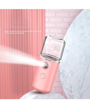 Decqerbe Mist Sprayer Mini 30Ml Nano Portable Face Body Steamer Moisturizing Skin Care Humidifier Instruments(Pink) - Buy Online on GoSupps.com