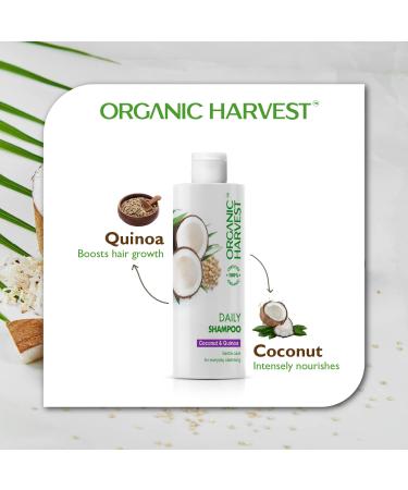 Daily Shampoo with Coconut & Quinoa | Organic Hair Care for Men & Women | Paraben & Sulphate Free | 500 ml - Buy Online on GoSupps.com