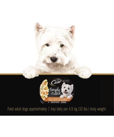 CESAR Simply Crafted Wet Dog Food Chicken - Chicken Carrots Barley & Spinach 8x37g Variety Pack - Buy Online on GoSupps.com