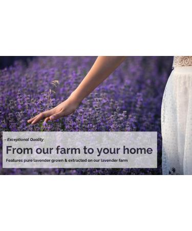 LAVENDER LANE Lavender Goat's Milk Hand & Body Lotion 9 oz - USA Lavender Farm Free Sachet Included Organic Shea Butter Organic Sunflower Oil. - Buy Online on GoSupps.com