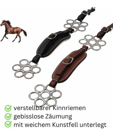 AMKA Hackamore Flora Bitless Bridle - Soft Padded Black Hackamore with Flower Wheel | International Shipping Available - Buy Online on GoSupps.com