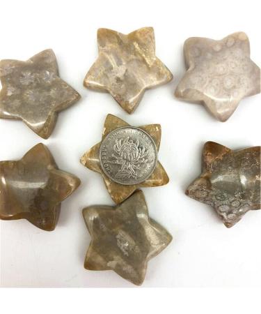 1 Piece Natural Coral Ammonite Star Crystal Stone Suitable for Home Chakra Reiki Balancing - Buy Online on GoSupps.com