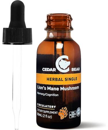 Cedar Bear Lion's Mane Mushroom Supplement 2 fl oz - All-Natural Brain Booster for Memory, Focus & Immune Support - Buy Online on GoSupps.com