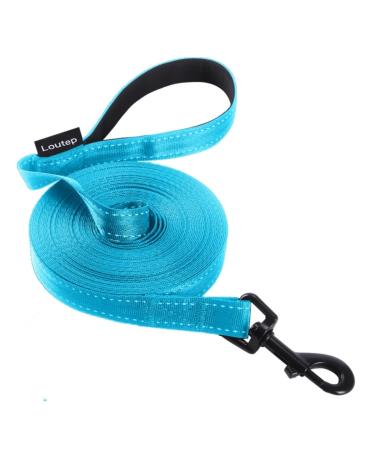 Loutep Reflecting Training Lines for Dogs 3 m 5 m 10 m 15 m 20 m 25 m 30 m strong nylons rope extra long leash dog leash with padded handle for large medium -sized and small 15m reflective light blue