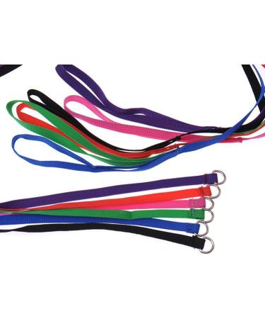 6PCS Dog Slip Leads - Nylon Rope for Pet Control and Grooming - Buy Online on GoSupps.com