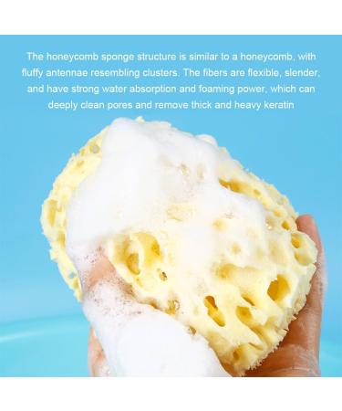 BOKIOESDE Natural Sea Sponge Super Soft And Skin Friendly Bathing Easy To Clean Natural Sea Sponges For Bathing Greek Sponge - Buy Online on GoSupps.com